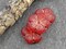 21mm Copper Washed Matte Ruby Red Hibiscus Flower Bead
